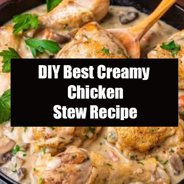 DIY Best Creamy Chicken Stew Recipe