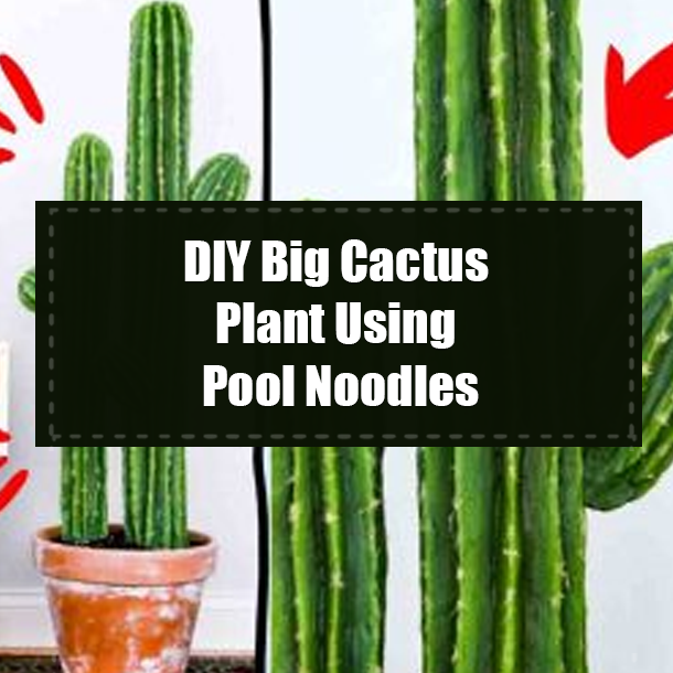 DIY Big Cactus Plant Using Pool Noodles