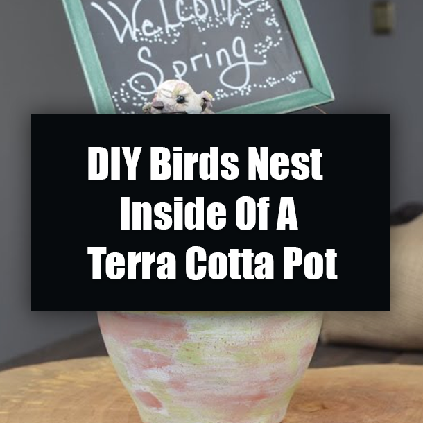 DIY Birds Nest Inside Of A Terra Cotta Pot