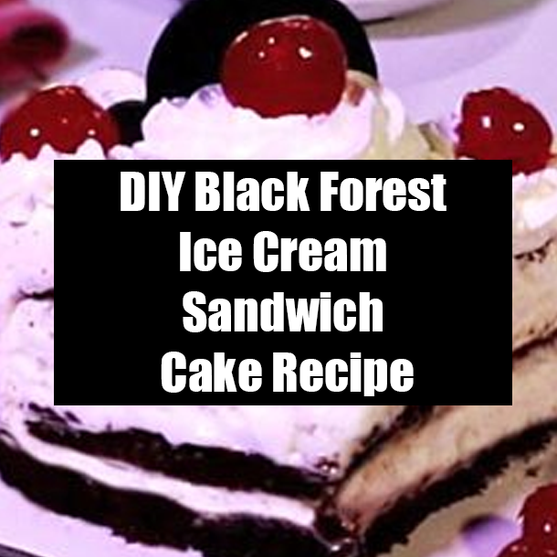 DIY Black Forest Ice Cream Sandwich Cake Recipe