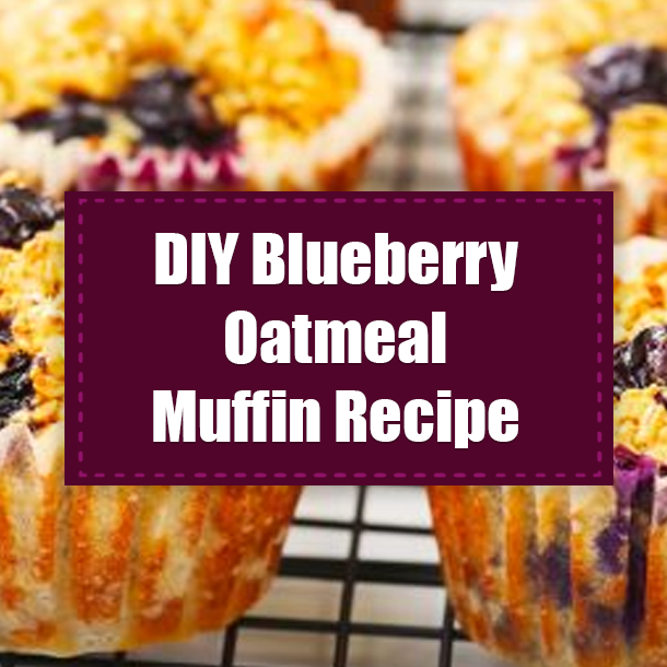 DIY Blueberry Oatmeal Muffin Recipe