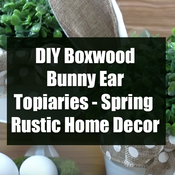 DIY Boxwood Bunny Ear Topiaries - Spring Rustic Home Decor