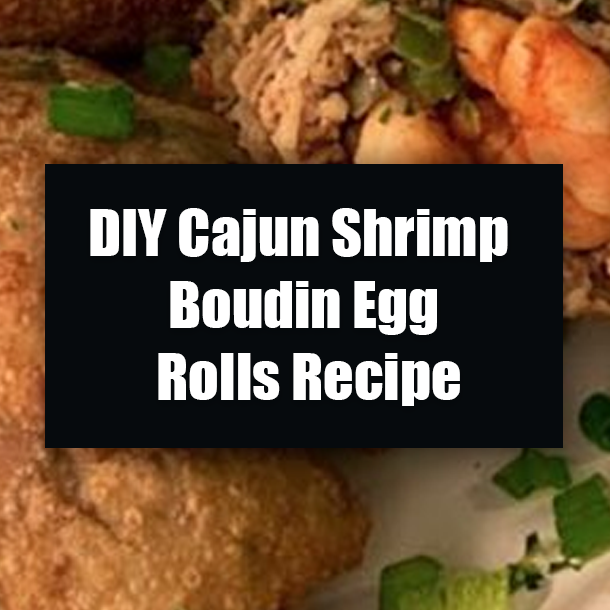 DIY Cajun Shrimp Boudin Egg Rolls Recipe