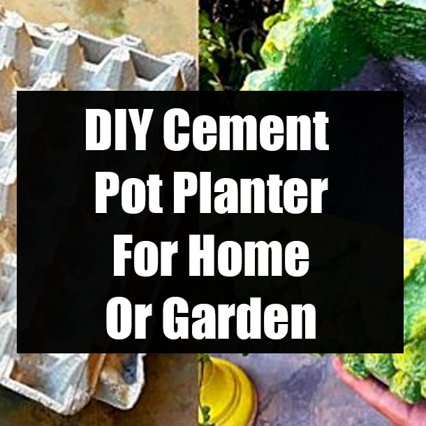 DIY Cement Pot Planter For Home Or Garden