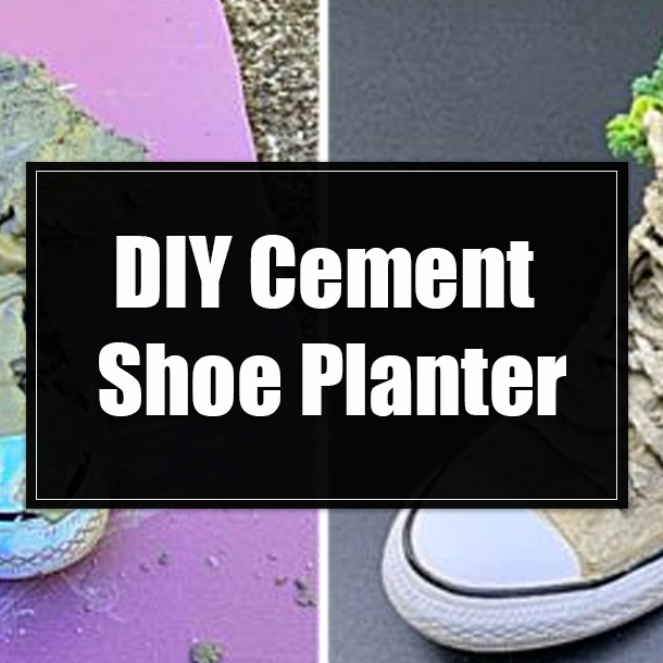DIY Cement Shoe Planter