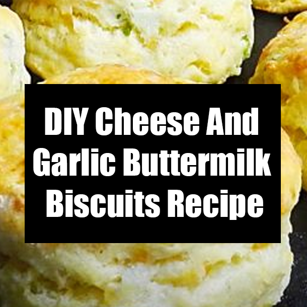 DIY Cheese And Garlic Buttermilk Biscuits Recipe