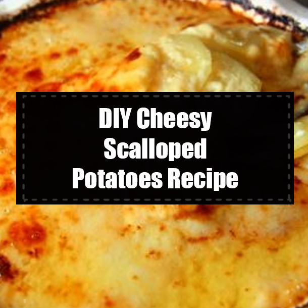 DIY Cheesy Scalloped Potatoes Recipe
