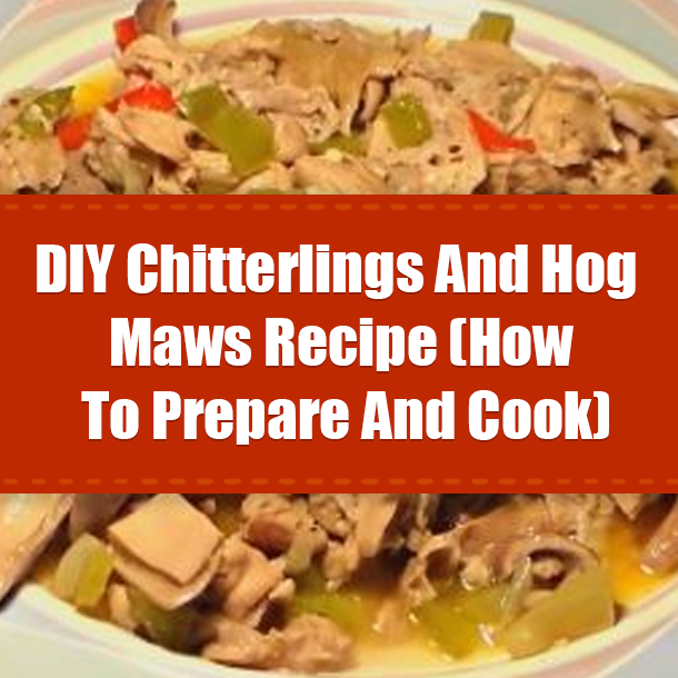 DIY Chitterlings And Hog Maws Recipe (How To Prepare And Cook)