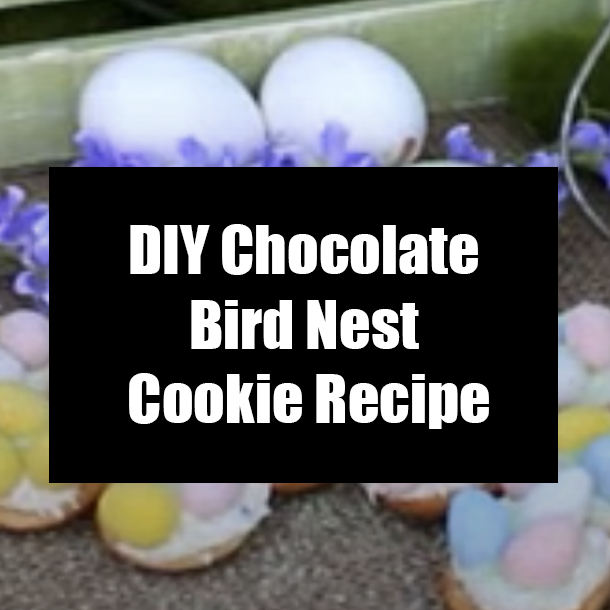 DIY Chocolate Bird Nest Cookie Recipe