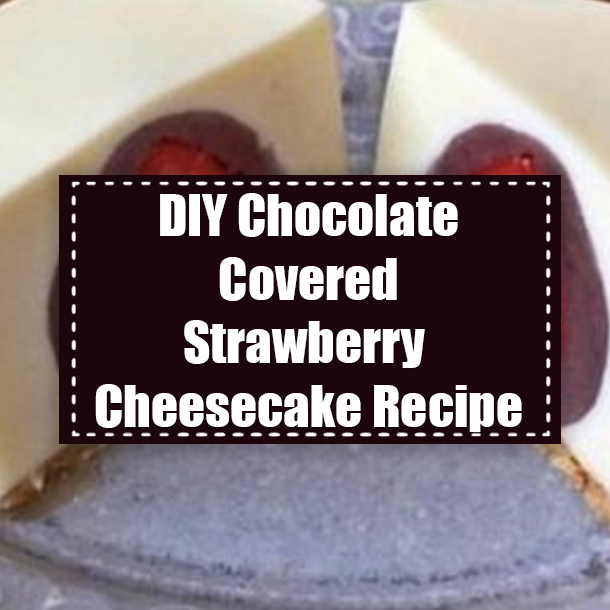 DIY Chocolate Covered Strawberry Cheesecake Recipe
