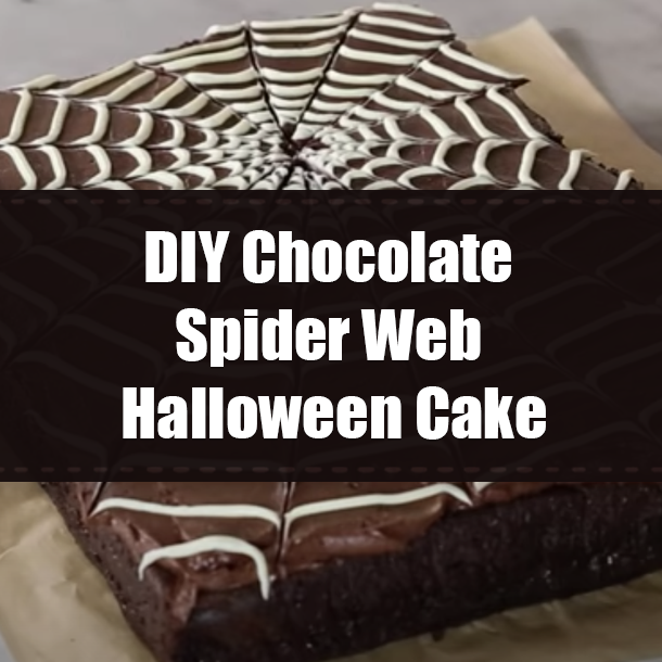 DIY Chocolate Spider Web Halloween Cake