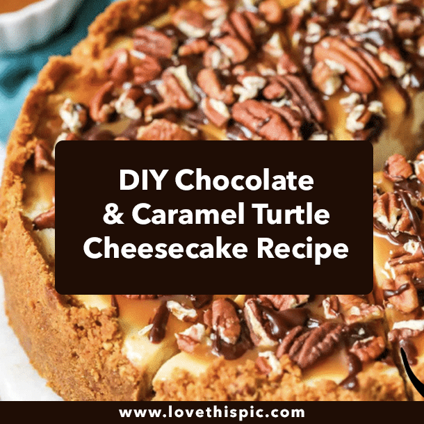 DIY Chocolate & Caramel Turtle Cheesecake Recipe