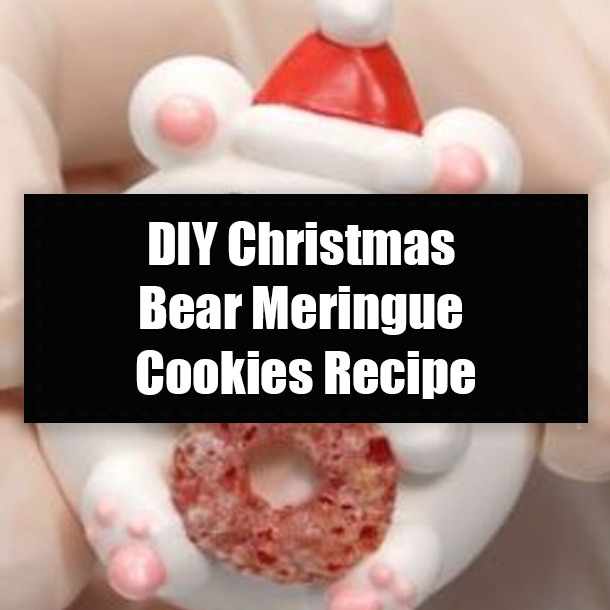 DIY Christmas Bear Meringue Cookies Recipe
