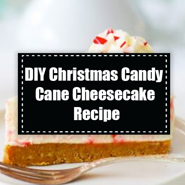 DIY Christmas Candy Cane Cheesecake Recipe