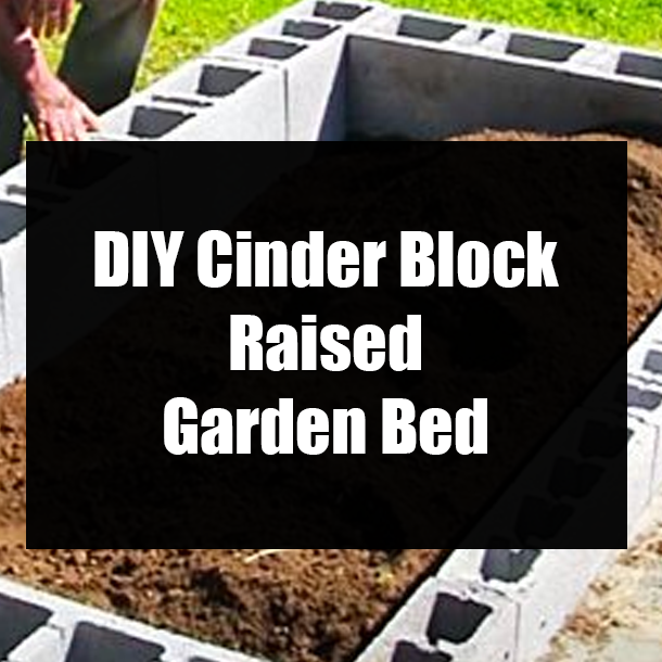DIY Cinder Block Raised Garden Bed
