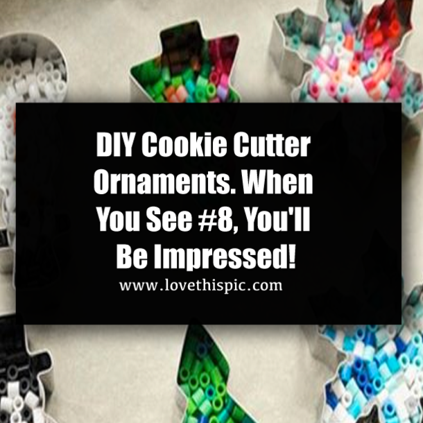 DIY Cookie Cutter Ornaments. When You See #8, You'll Be Impressed!
