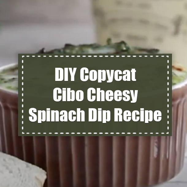 DIY Copycat Cibo Cheesy Spinach Dip Recipe