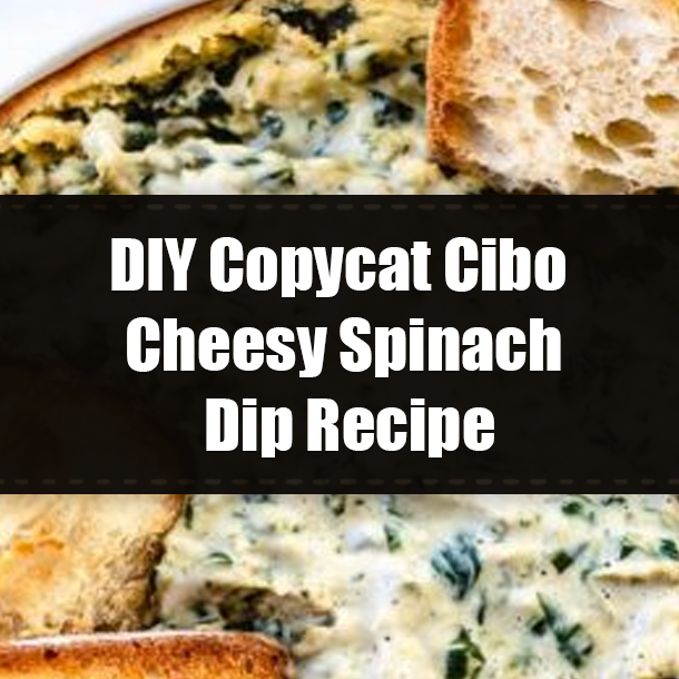DIY Copycat Cibo Cheesy Spinach Dip Recipe