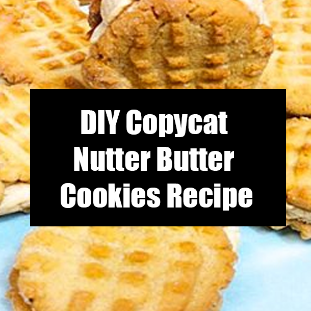 DIY Copycat Nutter Butter Cookies Recipe