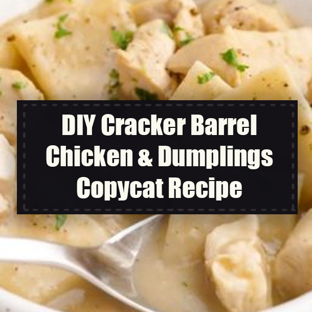 DIY Cracker Barrel Chicken & Dumplings Copycat Recipe
