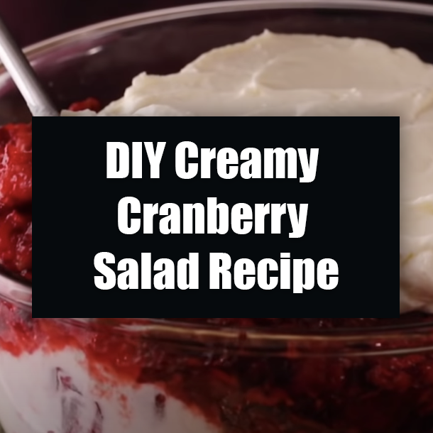 DIY Creamy Cranberry Salad Recipe
