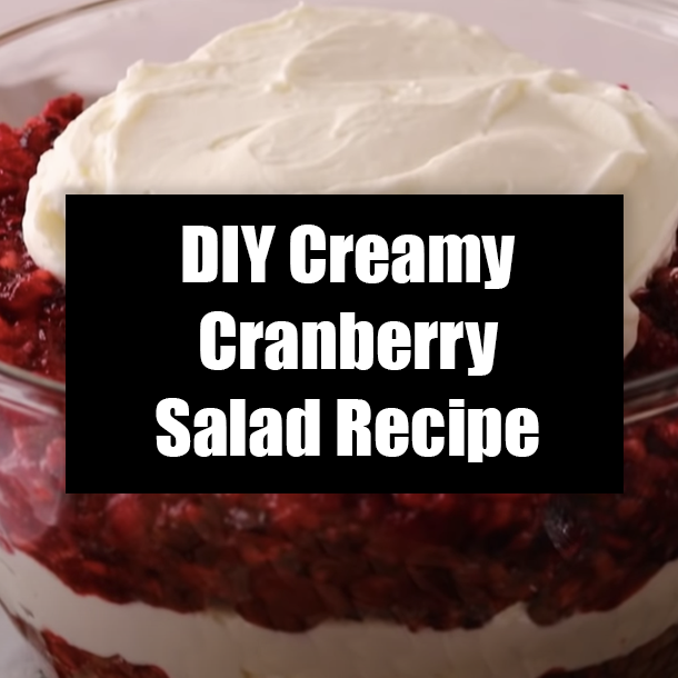 DIY Creamy Cranberry Salad Recipe