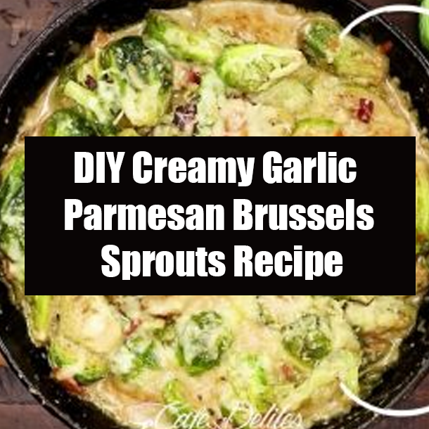 DIY Creamy Garlic Parmesan Brussels Sprouts Recipe