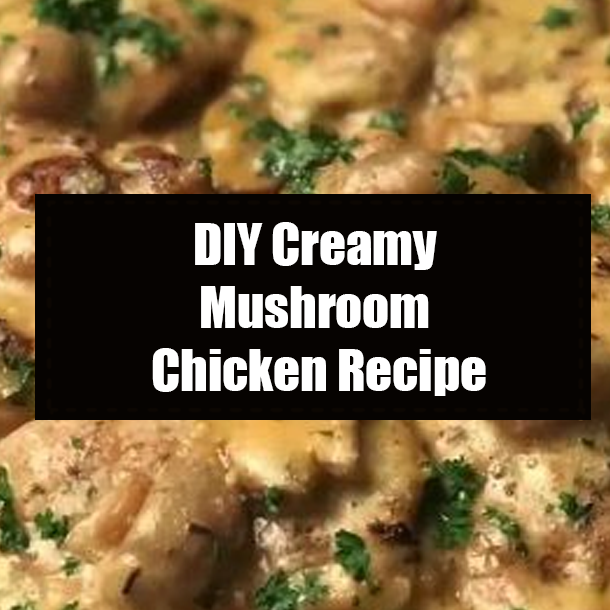 DIY Creamy Mushroom Chicken Recipe