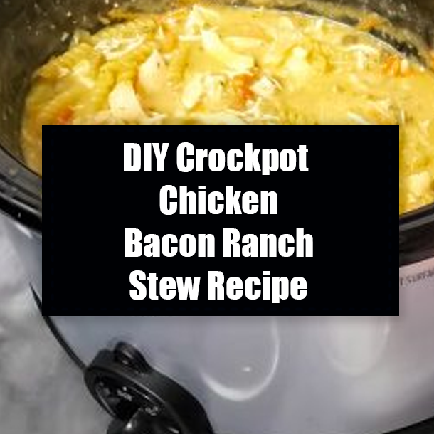 DIY Crockpot Chicken Bacon Ranch Stew Recipe