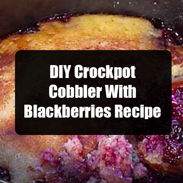 DIY Crockpot Cobbler With Blackberries Recipe