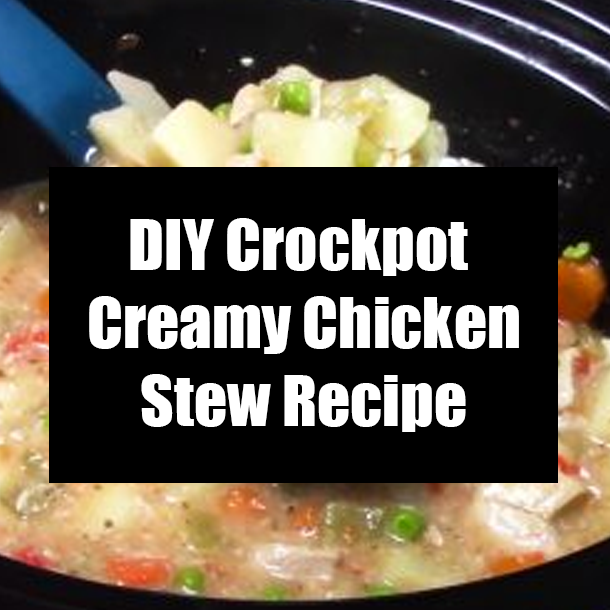 DIY Crockpot Creamy Chicken Stew Recipe
