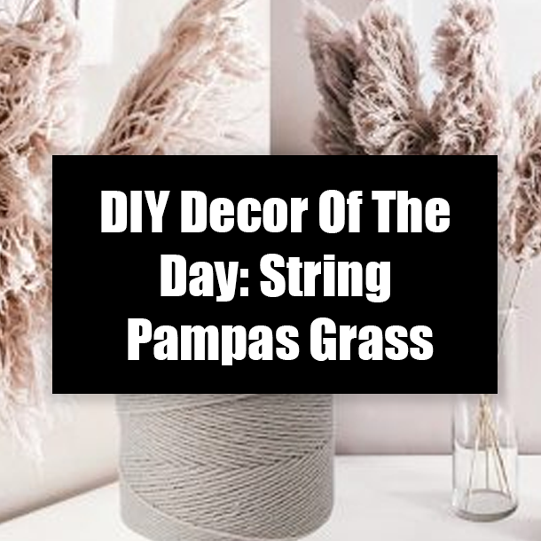 DIY Decor Of The Day: String Pampas Grass