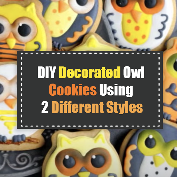 DIY Decorated Owl Cookies Using 2 Different Styles