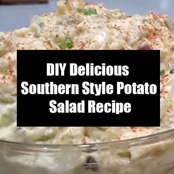 DIY Delicious Southern Style Potato Salad Recipe