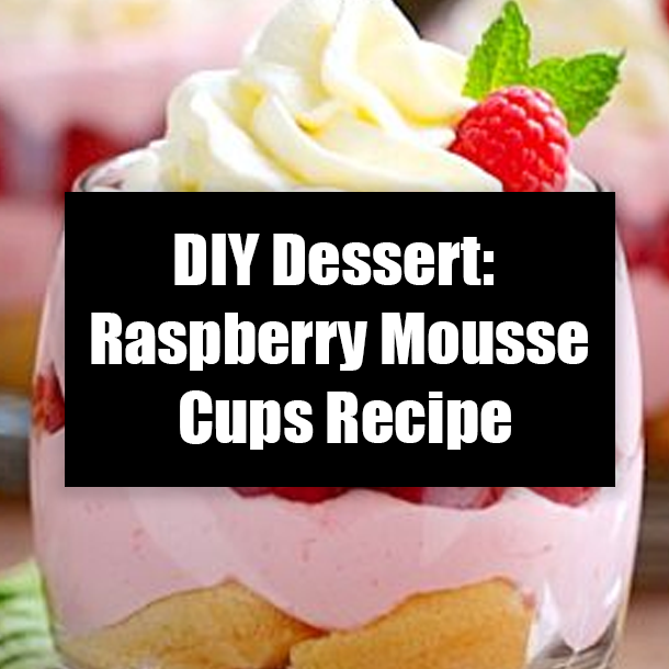 DIY Dessert: Raspberry Mousse Cups Recipe