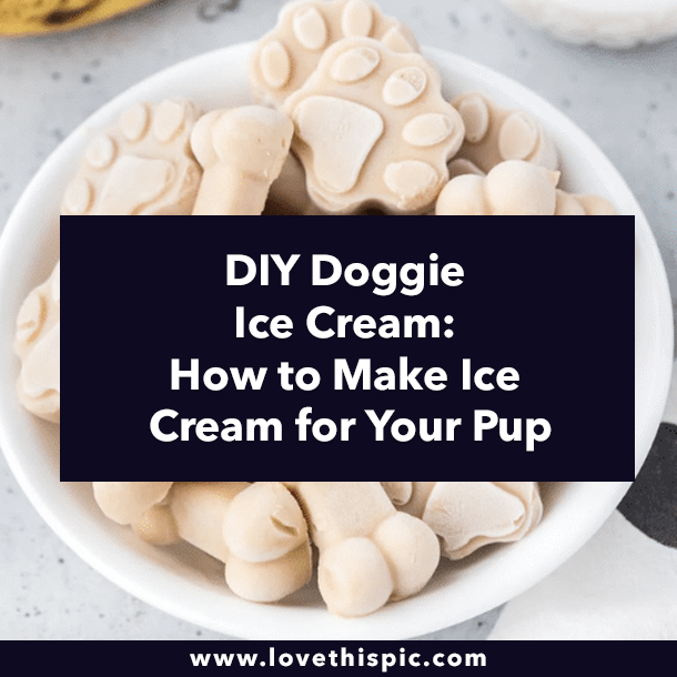DIY Doggie Ice Cream: How to Make Ice Cream for Your Pup