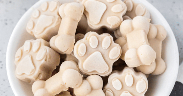 DIY Doggie Ice Cream: How to Make Ice Cream for Your Pup - picture 2