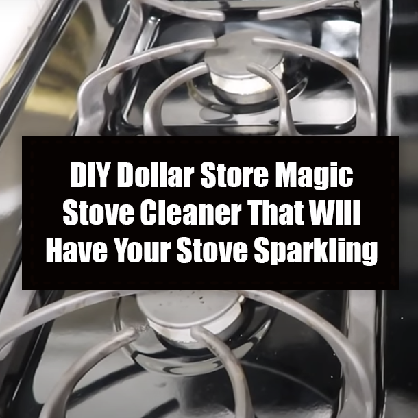 DIY Dollar Store Magic Stove Cleaner That Will Have Your Stove Sparkling