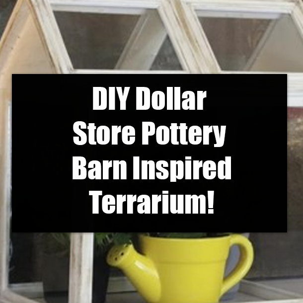 DIY Dollar Store Pottery Barn Inspired Terrarium!