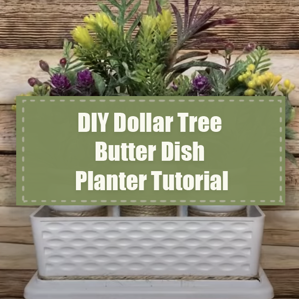 DIY Dollar Tree Butter Dish Planter Tutorial