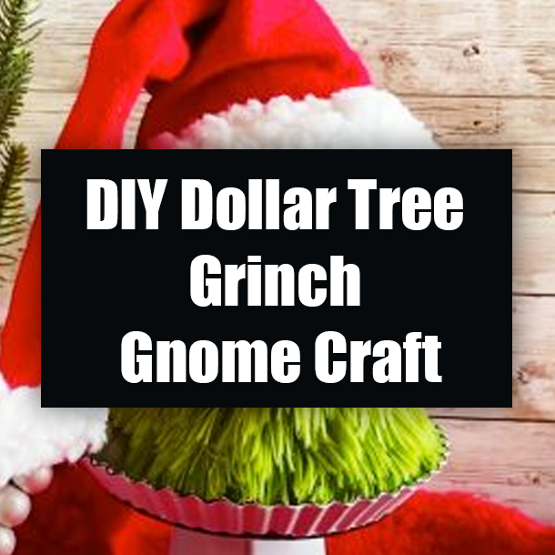 DIY Dollar Tree Grinch Gnome Craft