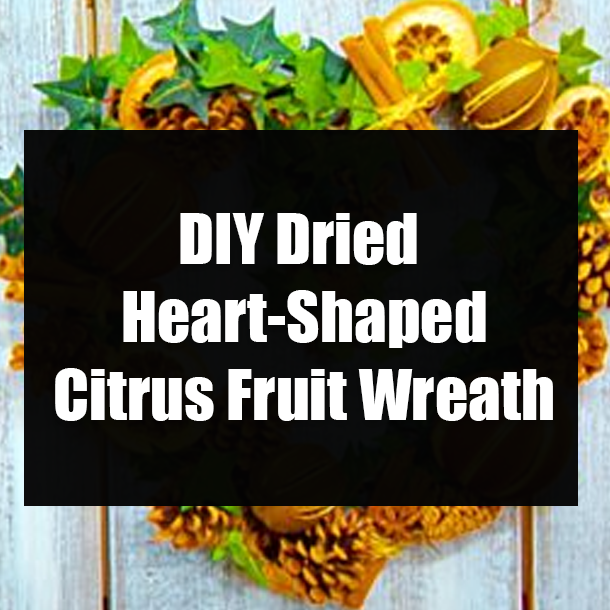 DIY Dried Heart-Shaped Citrus Fruit Wreath