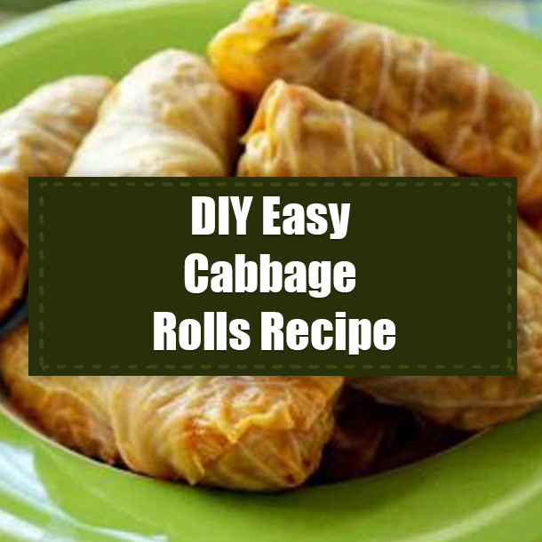 DIY Easy Cabbage Rolls Recipe