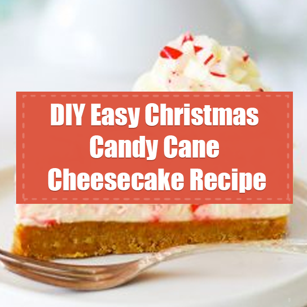 DIY Easy Christmas Candy Cane Cheesecake Recipe