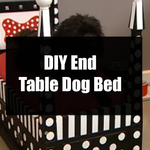 DIY End Table Dog Bed