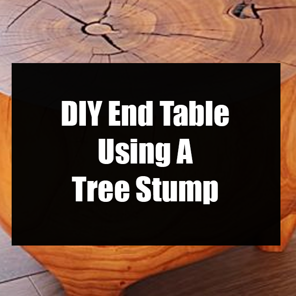 DIY End Table Using A Tree Stump