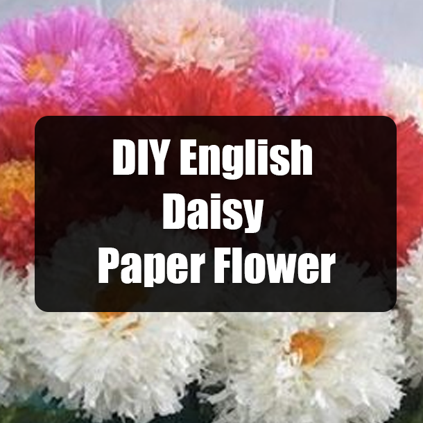 DIY English Daisy Paper Flower