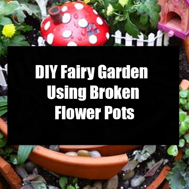 DIY Fairy Garden Using Broken Flower Pots