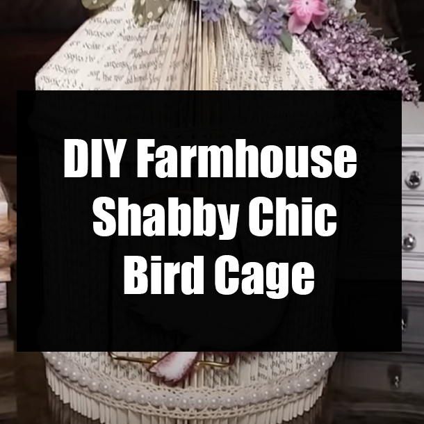 DIY Farmhouse Shabby Chic Bird Cage