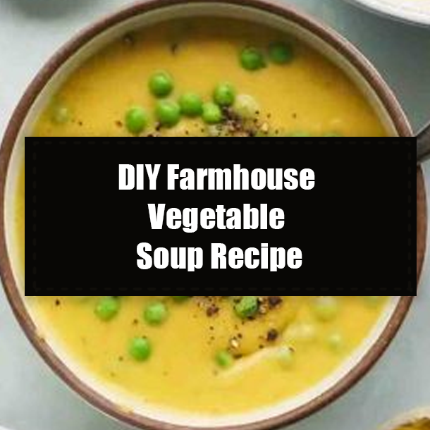 DIY Farmhouse Vegetable Soup Recipe